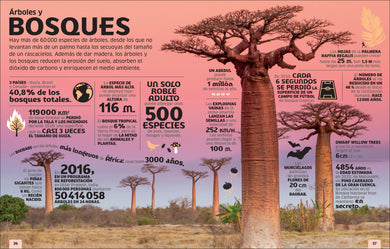El mundo en números (Our World in Numbers) interior 1 (ISBN 9780593848180)