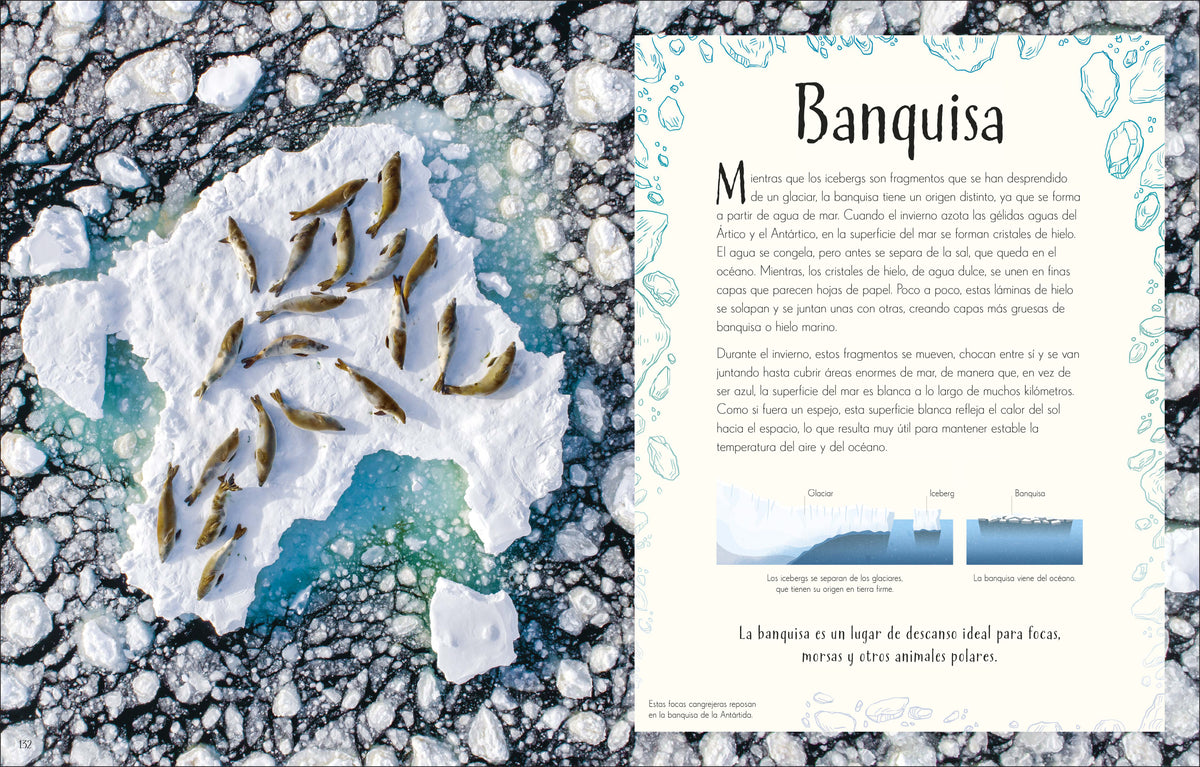 Maravillas del Planeta Tierra (An Anthology of Our Extraordinary Earth) interior 5 (ISBN 9780593848272)