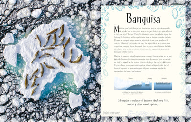 Maravillas del Planeta Tierra (An Anthology of Our Extraordinary Earth) interior 5 (ISBN 9780593848272)