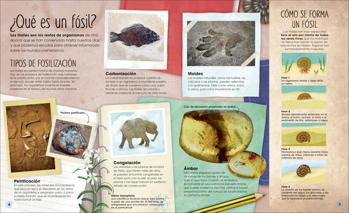La vida secreta de los dinosaurios y el mundo prehistórico (Prehistoric Worlds) interior 1 (ISBN 9780593848289)