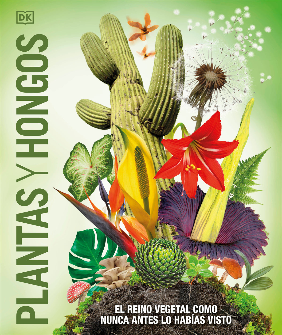 Plantas y hongos (Knowledge Encyclopedia Plants and Fungi!) cover (ISBN 9780593848296)