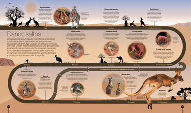 Los ciclos de la naturaleza (Timelines of Nature) interior 3 (ISBN 9780593848319)