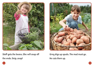 Phonic Books Dandelion World Extras Stages 8-15 US - Multiple-component retail product, boxed