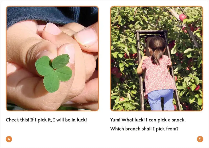 Phonic Books Dandelion World Extras Stages 8-15 US - Multiple-component retail product, boxed