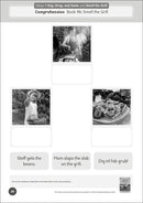 Phonic Books Dandelion World Extras Stages 8-15 Activities US - Paperback / softback