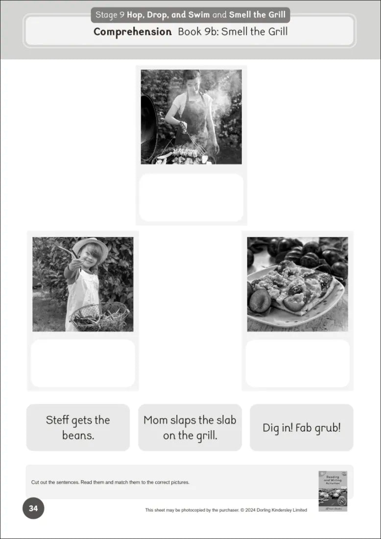 Phonic Books Dandelion World Extras Stages 8-15 Activities US - Paperback / softback