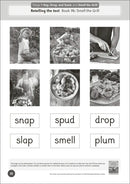 Phonic Books Dandelion World Extras Stages 8-15 Activities US - Paperback / softback