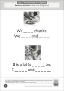 Phonic Books Dandelion World Extras Stages 8-15 Activities US - Paperback / softback