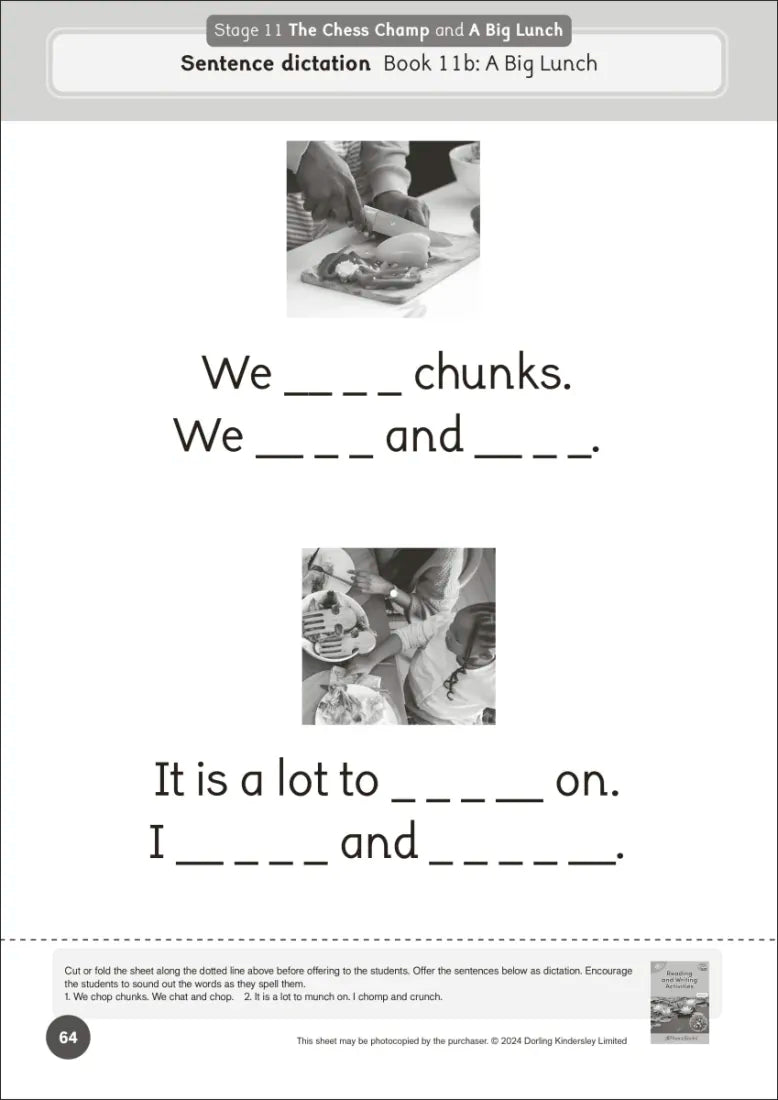 Phonic Books Dandelion World Extras Stages 8-15 Activities US - Paperback / softback