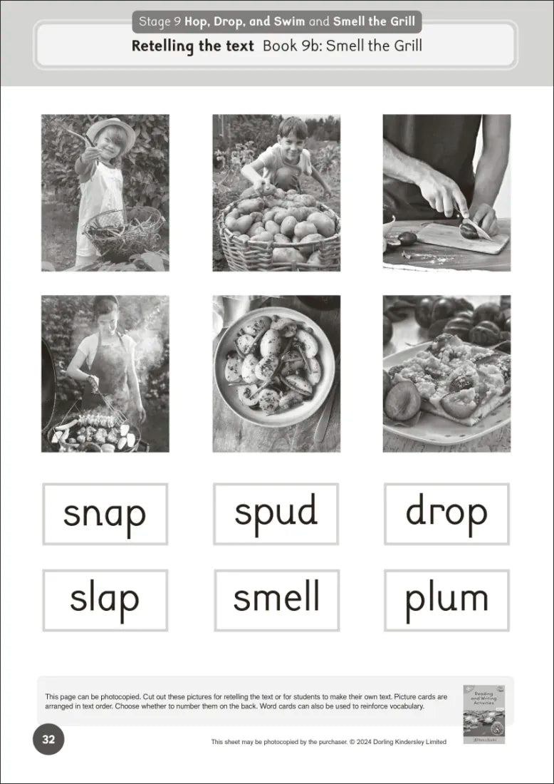 Phonic Books Dandelion World Extras Stages 8-15 Activities US - Paperback / softback