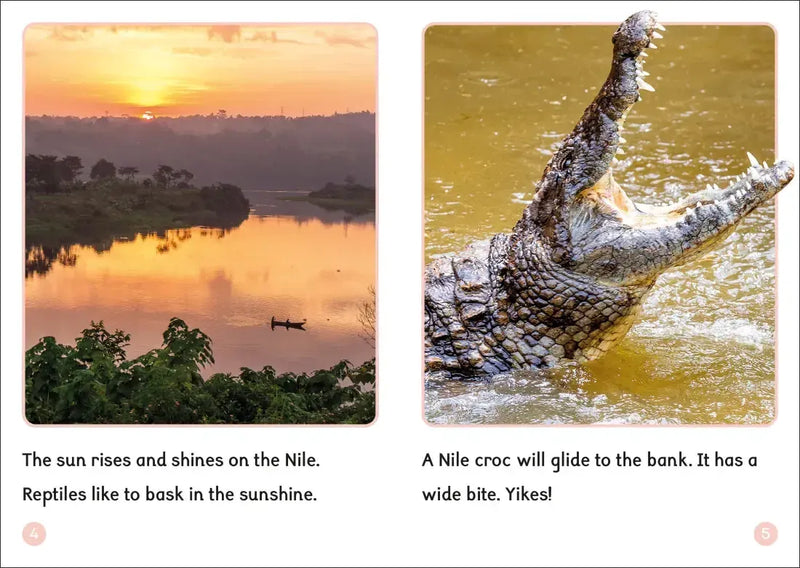 Phonic Books Dandelion World VCe Spellings US - Multiple-component retail product, boxed