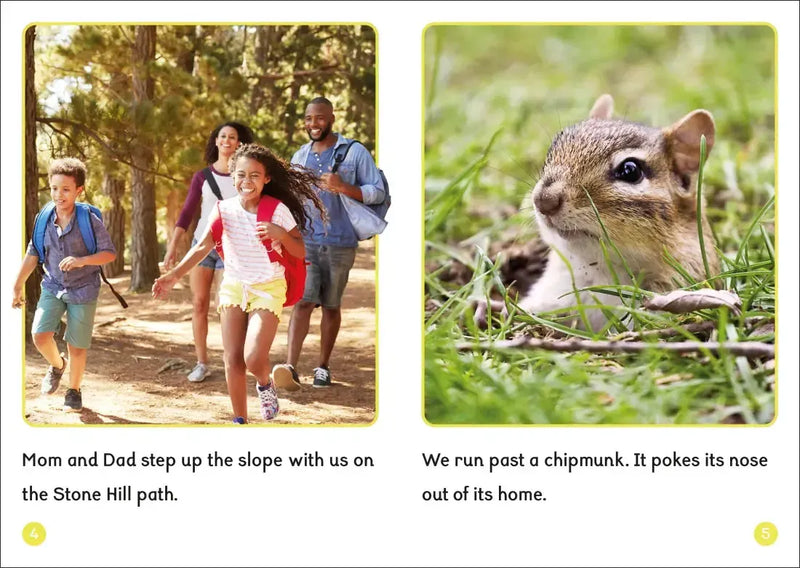 Phonic Books Dandelion World VCe Spellings US - Multiple-component retail product, boxed