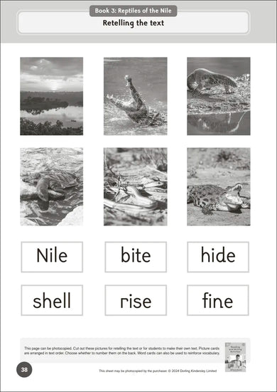 Phonic Books Dandelion World VCe Spellings Activities US - Paperback / softback