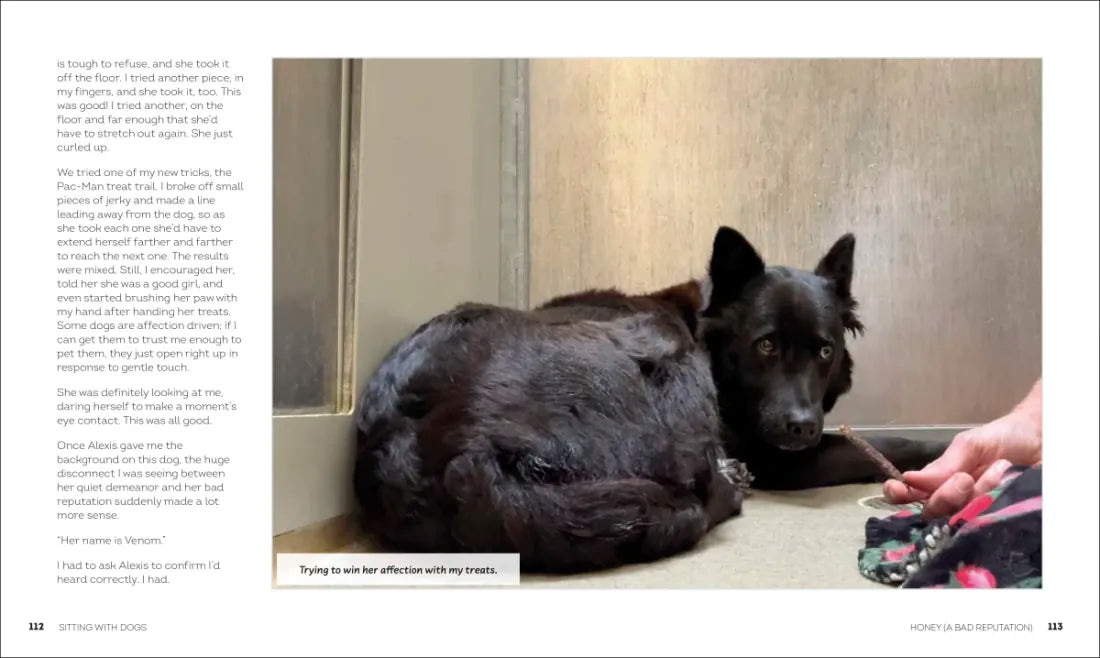Sitting with Dogs US - Hardback
