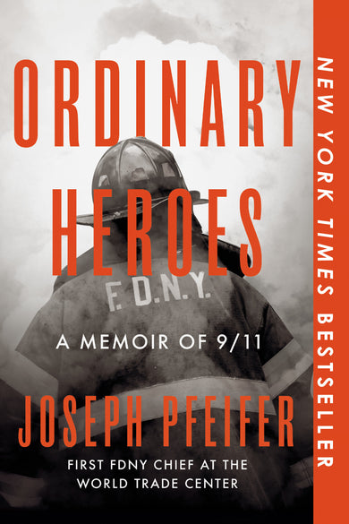 Ordinary Heroes cover (ISBN 9780593852804)