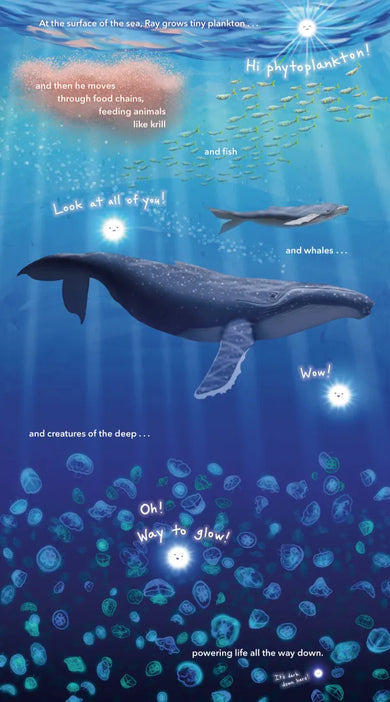 Ray US - Hardback