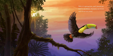 Hello, I'm a Toucan (Meet the Wild Things, Book 5) US - Hardback