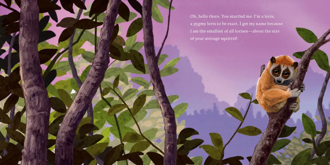 Hello, I'm a Loris (Meet the Wild Things, Book 6) US - Hardback
