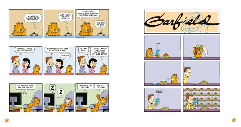 Garfield Fat Cat 3-Pack