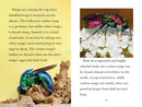 TIME for Kids: Insects US - Paperback / softback
