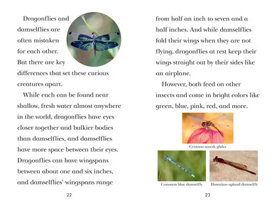 TIME for Kids: Insects US - Paperback / softback