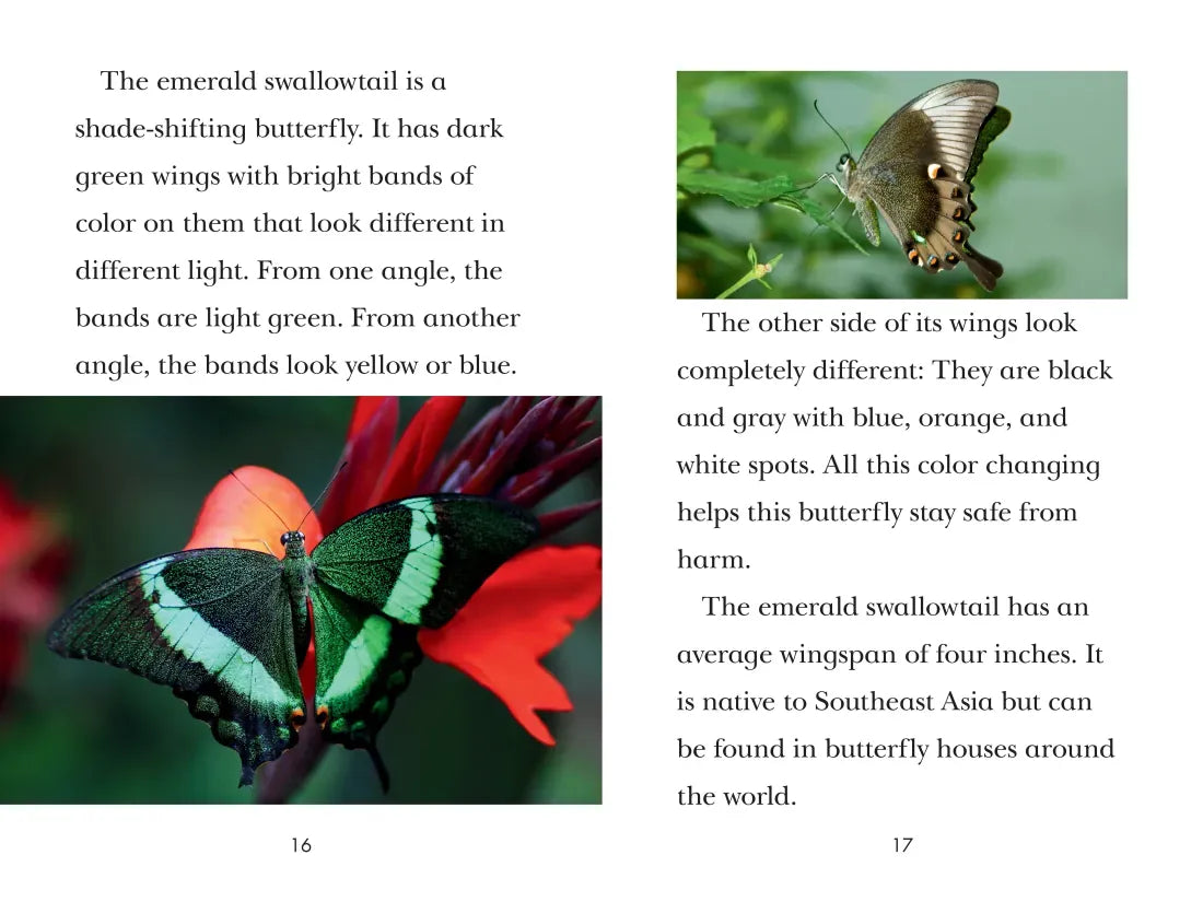 TIME for Kids: Insects US - Hardback