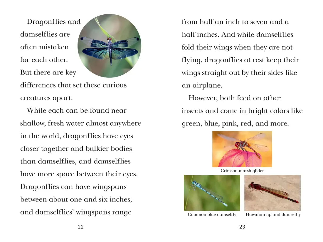 TIME for Kids: Insects US - Hardback