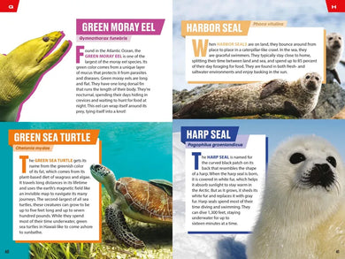 TIME for Kids: Spectacular Sea Creatures US - Paperback / softback