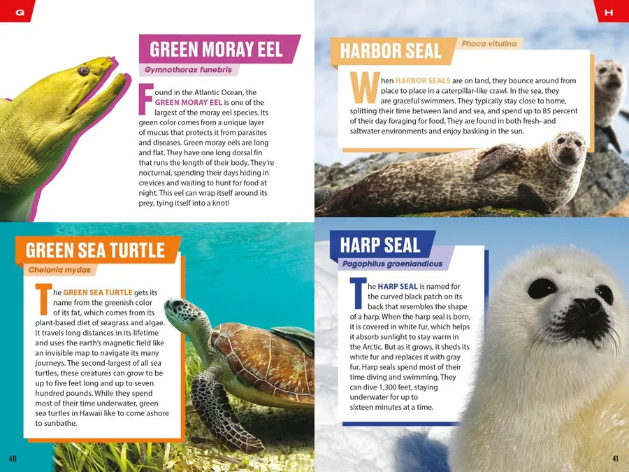 TIME for Kids: Spectacular Sea Creatures US - Paperback / softback