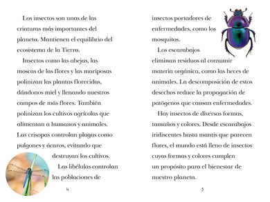 TIME for Kids: Insectos (TIME for Kids: Insects Spanish Edition) US - Paperback / softback