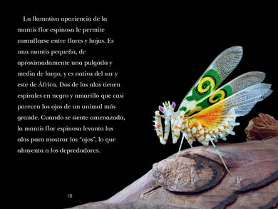TIME for Kids: Insectos (TIME for Kids: Insects Spanish Edition) US - Hardback