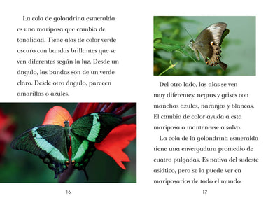 TIME for Kids: Insectos (TIME for Kids: Insects Spanish Edition) US - Hardback