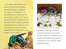 TIME for Kids: Insectos (TIME for Kids: Insects Spanish Edition) US - Hardback