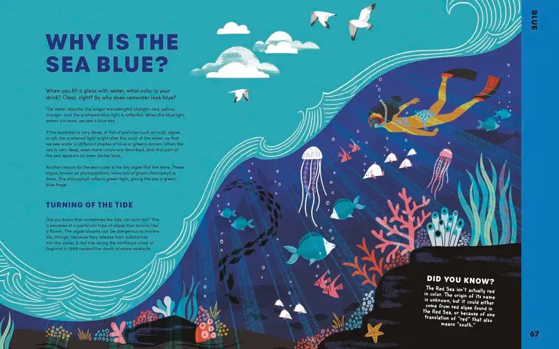 Are There Rainbows in Space? US - Hardback