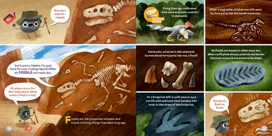 Talking Rocks and Minerals: Fact-Packed Guide to Geology US - Hardback