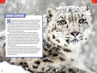 TIME for Kids: Big Cats, Small Cats US - Paperback / softback