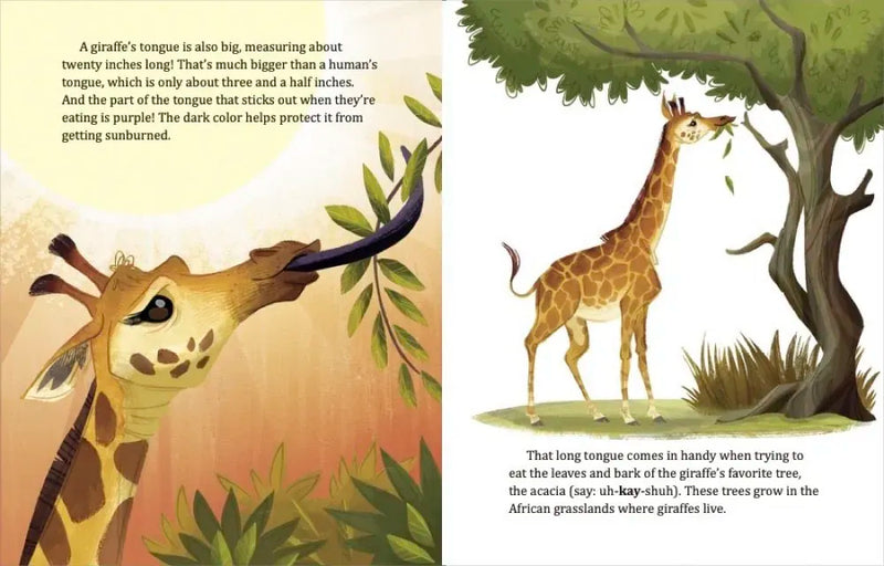 My Little Golden Book About Giraffes US - Hardback