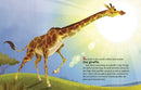 My Little Golden Book About Giraffes US - Hardback