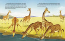 My Little Golden Book About Giraffes US - Hardback