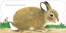 Richard Scarry's Bunnies US - Board book (9780593899151)