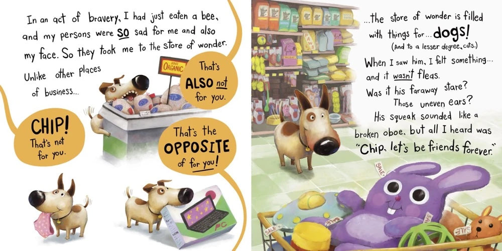 Don't Lose Mr. Cuddles US - Hardback (9780593900758)