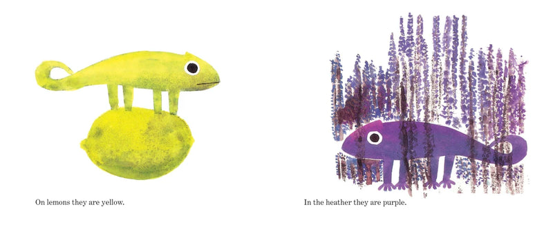 A Color of His Own with Color Wheel US - Board book