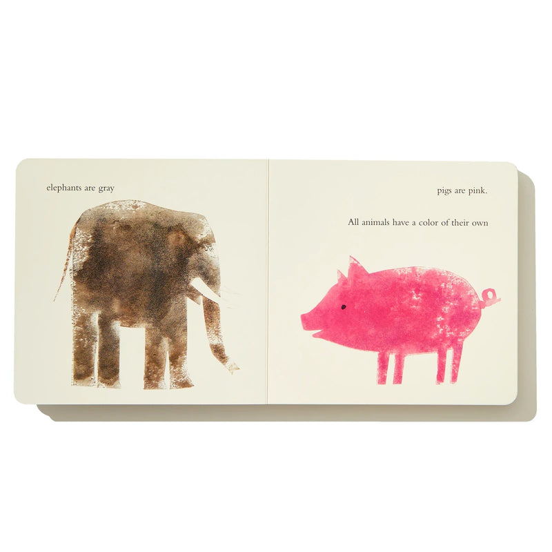 A Color of His Own with Color Wheel US - Board book