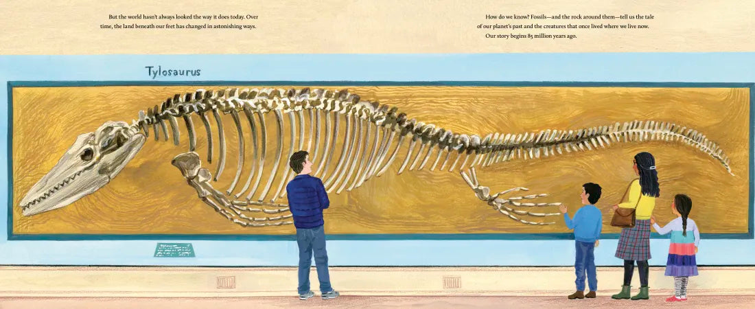 Sharks in Kansas US - Hardback (9780593904718)