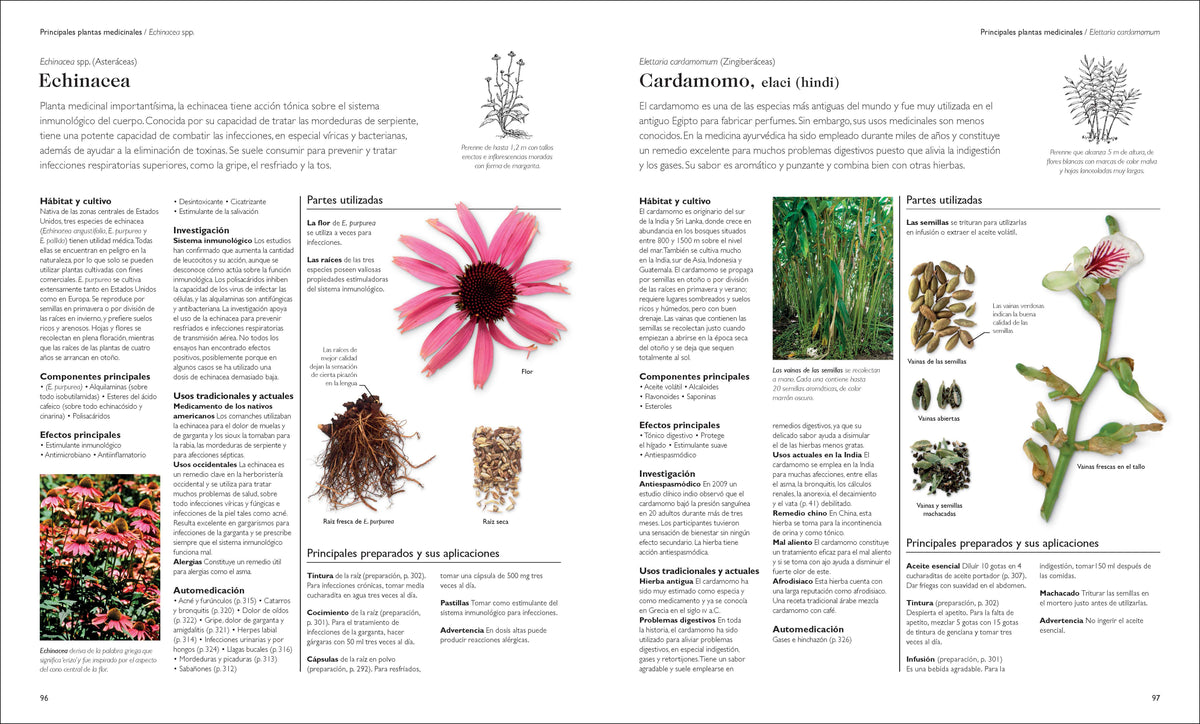Enciclopedia de plantas medicinales (Encyclopedia of Herbal Medicine) interior 3 (ISBN 9780593958971)