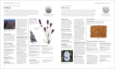 Enciclopedia de plantas medicinales (Encyclopedia of Herbal Medicine) interior 4 (ISBN 9780593958971)