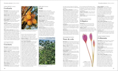 Enciclopedia de plantas medicinales (Encyclopedia of Herbal Medicine) interior 5 (ISBN 9780593958971)