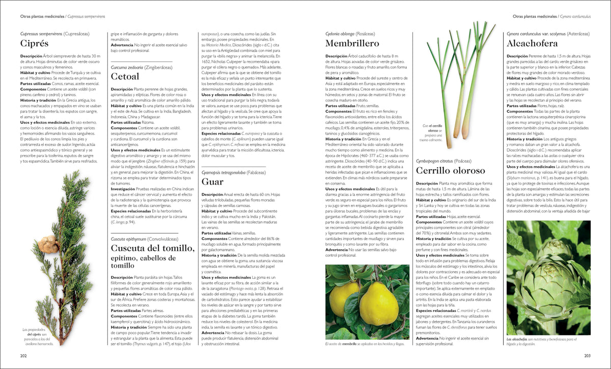Enciclopedia de plantas medicinales (Encyclopedia of Herbal Medicine) interior 6 (ISBN 9780593958971)