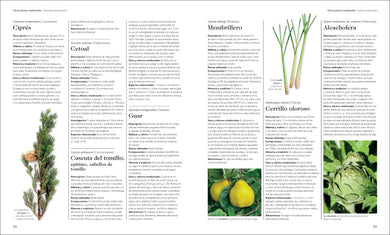 Enciclopedia de plantas medicinales (Encyclopedia of Herbal Medicine) interior 6 (ISBN 9780593958971)