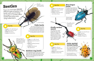 My Book of Bugs US - Hardback